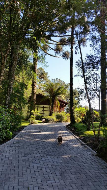 הוילה Casa Goldoni גראמדו מראה חיצוני תמונה